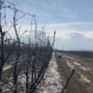 Meet your Posher, Lianne